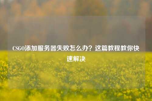 CSGO添加服务器失败怎么办?这篇教程教你快速解决