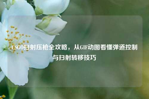 CSGO扫射压枪全攻略，从GIF动图看懂弹道控制与扫射转移技巧