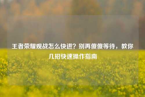 王者荣耀观战怎么快进?别再傻傻等待,教你几招快速操作指南