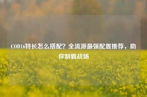COD16特长怎么搭配?全流派最强配置推荐,助你制霸战场
