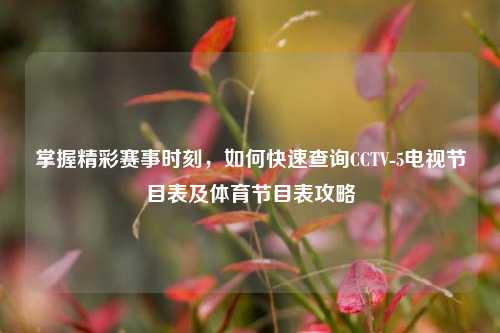 掌握精彩赛事时刻,如何快速查询CCTV-5电视节目表及体育节目表攻略