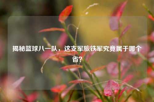 揭秘篮球八一队,这支军旅铁军究竟属于哪个省?
