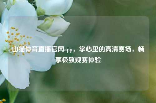 山猫体育直播官网app,掌心里的高清赛场,畅享极致观赛体验