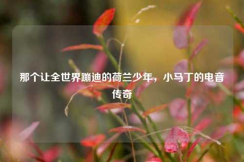 那个让全世界蹦迪的荷兰少年,小马丁的电音传奇
