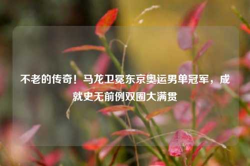 不老的传奇!马龙卫冕东京奥运男单冠军,成就史无前例双圈大满贯