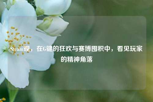 Steam观,在G键的狂欢与赛博囤积中,看见玩家的精神角落