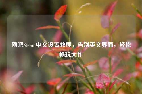 网吧Steam中文设置教程,告别英文界面,轻松畅玩大作