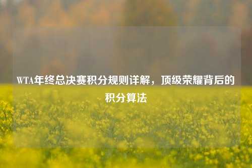 WTA年终总决赛积分规则详解,顶级荣耀背后的积分算法
