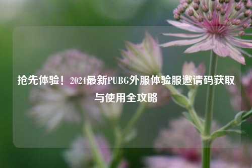 抢先体验!2024最新PUBG外服体验服邀请码获取与使用全攻略