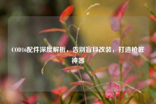 COD16配件深度解析,告别盲目改装,打造枪匠神器