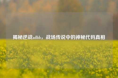揭秘逆战adbb,战场传说中的神秘代码真相