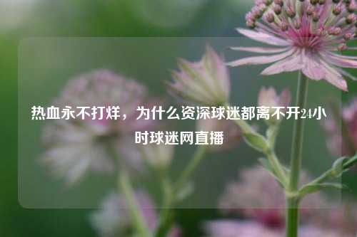 热血永不打烊,为什么资深球迷都离不开24小时球迷网直播