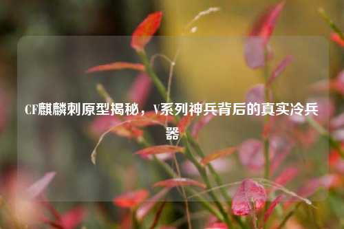 CF麒麟刺原型揭秘,V系列神兵背后的真实冷兵器