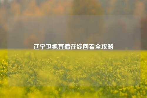辽宁卫视直播在线回看全攻略