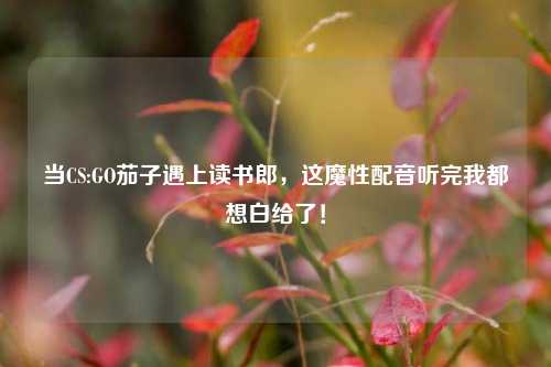 当CS:GO茄子遇上读书郎,这魔性配音听完我都想白给了!