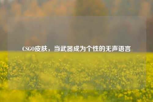 CSGO皮肤,当武器成为个性的无声语言