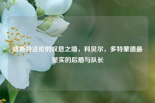 威斯特法伦的叹息之墙,科贝尔,多特蒙德最坚实的后盾与队长