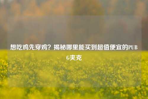 想吃鸡先穿鸡?揭秘哪里能买到超值便宜的PUBG夹克