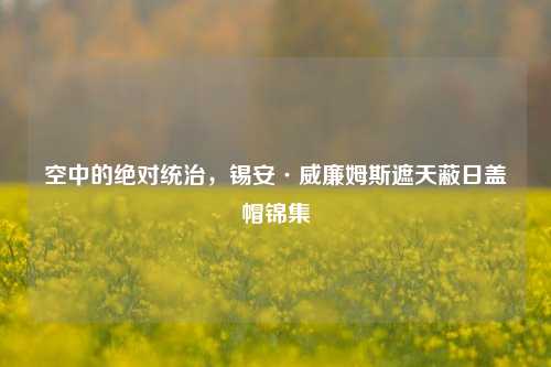 空中的绝对统治,锡安·威廉姆斯遮天蔽日盖帽锦集