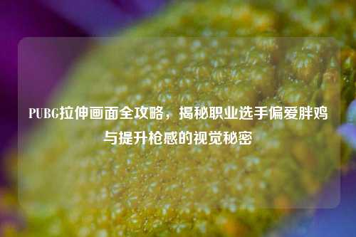 PUBG拉伸画面全攻略，揭秘职业选手偏爱胖鸡与提升枪感的视觉秘密