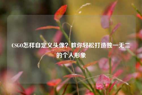 CSGO怎样自定义头像?教你轻松打造独一无二的个人形象
