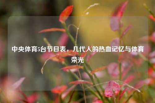 中央体育5台节目表,几代人的热血记忆与体育荣光
