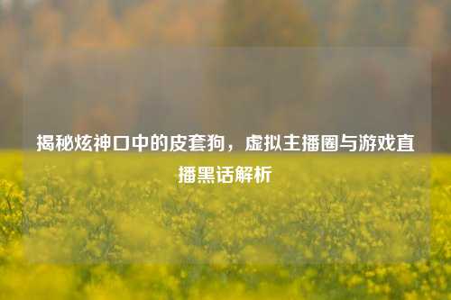 揭秘炫神口中的皮套狗,虚拟主播圈与游戏直播黑话解析