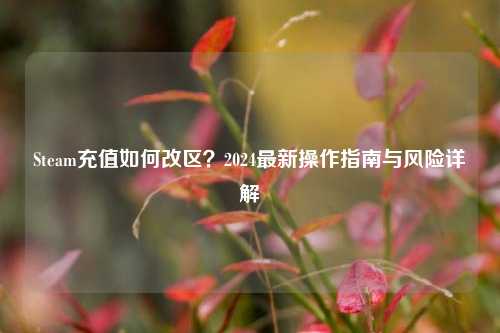 Steam充值如何改区？2024最新操作指南与风险详解