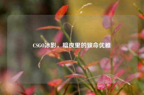 CSGO冰影，暗夜里的致命优雅