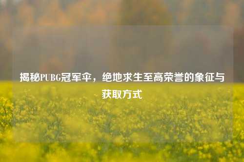 揭秘PUBG冠军伞，绝地求生至高荣誉的象征与获取方式