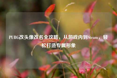 PUBG改头像改名全攻略，从游戏内到Steam，轻松打造专属形象