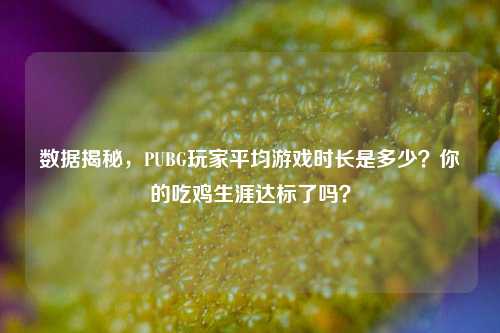数据揭秘，PUBG玩家平均游戏时长是多少？你的吃鸡生涯达标了吗？