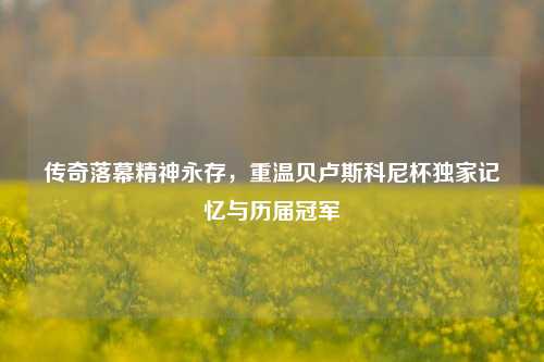 传奇落幕精神永存,重温贝卢斯科尼杯独家记忆与历届冠军