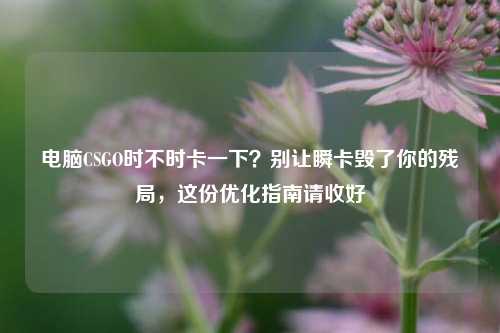 电脑CSGO时不时卡一下?别让瞬卡毁了你的残局,这份优化指南请收好