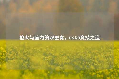 枪火与脑力的双重奏,CS:GO竞技之道