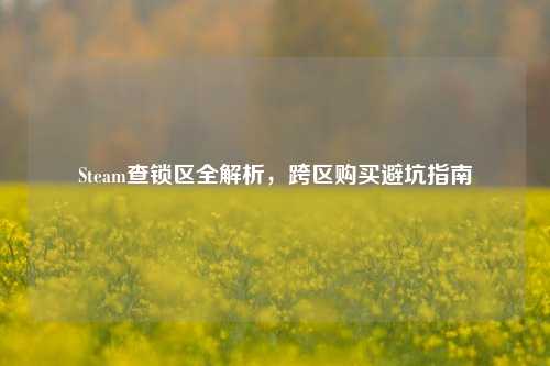 Steam查锁区全解析,跨区购买避坑指南