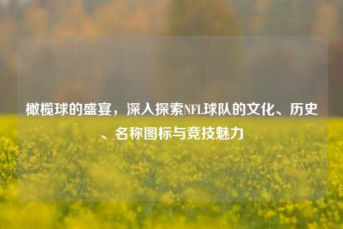 橄榄球的盛宴,深入探索NFL球队的文化、历史、名称图标与竞技魅力