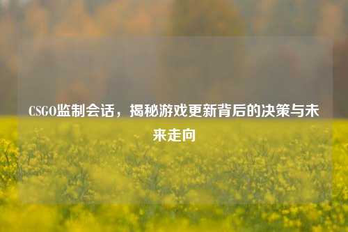CSGO监制会话，揭秘游戏更新背后的决策与未来走向