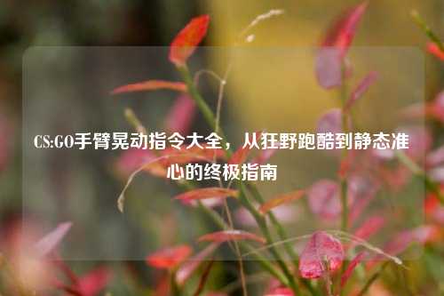 CS:GO手臂晃动指令大全，从狂野跑酷到静态准心的终极指南