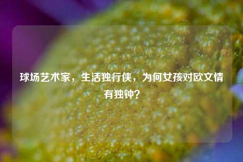 球场艺术家,生活独行侠,为何女孩对欧文情有独钟?