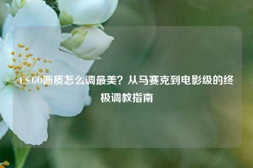 CS:GO画质怎么调最美?从马赛克到电影级的终极调教指南