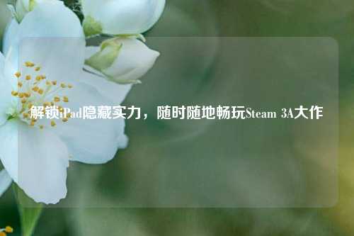 解锁iPad隐藏实力，随时随地畅玩Steam 3A大作