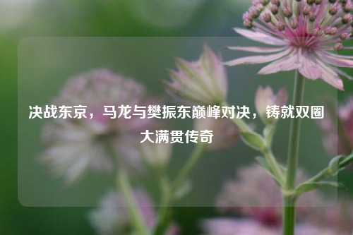 决战东京,马龙与樊振东巅峰对决,铸就双圈大满贯传奇
