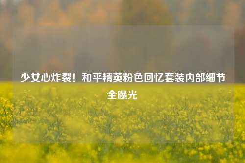 少女心炸裂！和平精英粉色回忆套装内部细节全曝光