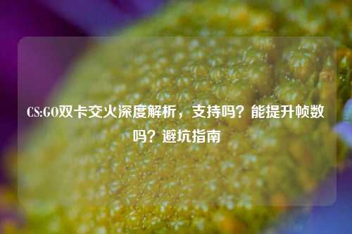 CS:GO双卡交火深度解析，支持吗？能提升帧数吗？避坑指南
