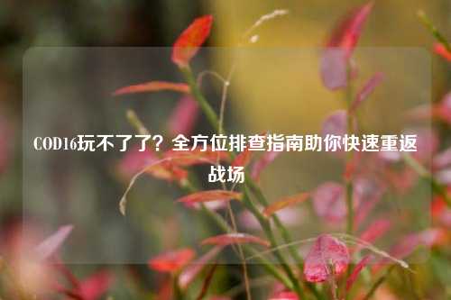 COD16玩不了了？全方位排查指南助你快速重返战场