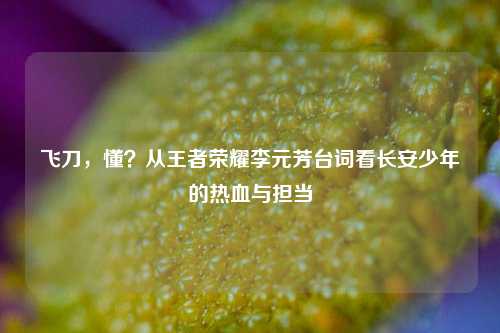 飞刀,懂?从王者荣耀李元芳台词看长安少年的热血与担当
