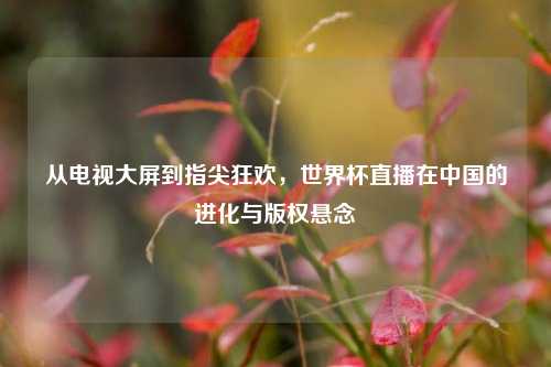 从电视大屏到指尖狂欢,世界杯直播在中国的进化与版权悬念