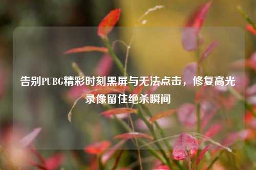 告别PUBG精彩时刻黑屏与无法点击，修复高光录像留住绝杀瞬间