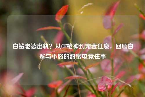 白鲨老婆出轨?从CF枪神到宠妻狂魔,回顾白鲨与小悠的甜蜜电竞往事